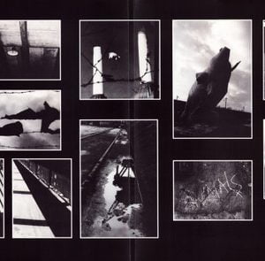 Pink Floyd – Animals